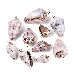 Rouge Lavande Pendentifs en spirale naturelle galvanoplastie, breloques en forme de conque, avec des anneaux en fer et des apprêts en laiton, or et de lumière, blush lavande, 20~40x11~22x10~21mm, Trou: 1.6~1.8mm