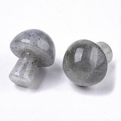Labradorite Natural Labradorite GuaSha Stone, Gua Sha Scraping Massage Tool, for SPA Relaxing Meditation Massage, Undyed, Mushroom Shaped, 21x16mm
