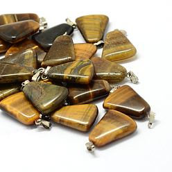 Tiger Eye Trapezoid Natural Tiger Eye Pendants, with Platinum Tone Brass Findings, 24~25.5x16.5~17x5~6mm, Hole: 2x7mm