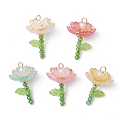 (52) Непрозрачная лаванда Подвески из гальванизированного стекла и акрила, , разноцветные, 29x18x18.5 мм, отверстие : 2x3 мм