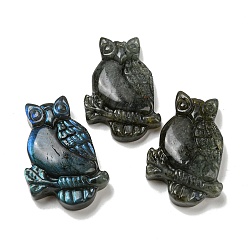 Лабрадорита Природные подвески лабрадорита, сова прелести, 44~46x29~31x7.5~10 мм, отверстие : 1.4 мм