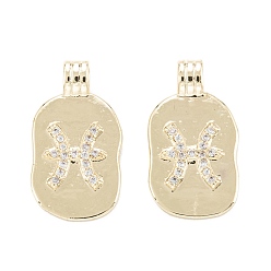 Рыбы Латунные микропаве прозрачные подвески с фианитом, овальной формы с созвездием, золотые, Рыбы, 18.5~19.5x9.5~10.5x3.5 мм, отверстие : 1.9x2.5 мм