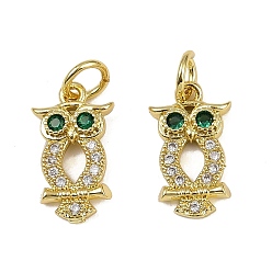 Настоящее золото 18K Латунные микро проложить кубического циркония подвески, сова прелести, долговечный, без кадмия и без свинца, стойки покрытие, с целью перехода в кольце, реальный 18 k позолоченный, 14x8.5x2.5 мм, отверстие : 3.2 мм