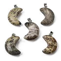 Варисцит Подвески из натурального варисцита, подвески в виде луны 304 с защелками из нержавеющей стали, цвет нержавеющей стали, 34~34.5x23~23.5x12~12.5 мм, отверстие : 6.5x4 мм