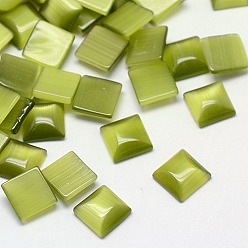 Цвет Оливы Кабошоны кошачьего глаза, квадратный, оливковый, 10x10x2.5 мм