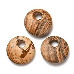 Пейзажный Джаспер Естественного изображения яшмы подвески, плоские круглые прелести, 30x8~8.5 мм, отверстие : 8.5 мм