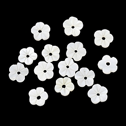 Floral Blanca Cuentas talladas de concha de agua dulce natural, flor, blanco floral, 8x1.6~2 mm, agujero: 1 mm