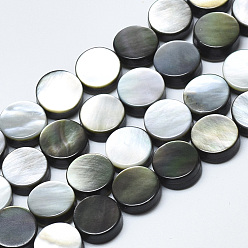 Black Lip Shell Natural Black Lip Shell Beads, Flat Round, 8x3mm, Hole: 0.6mm