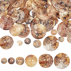 Фора 90шт 6 стили пресноводные ракушки пуговицы, плоско-круглые, 2-луночное, оранжевые, 11~25x1.5~2.5 мм, отверстие : 1.2~2 мм, 15 шт / стиль
