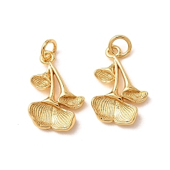 Real 18K Gold Plated Brass Pendants, Ginkgo Leaf Charms, Rack Plating, Long-Lasting Plated, Lead Free & Cadmium Free, Real 18K Gold Plated, 19.5x12.5x2.5mm, Hole: 3mm