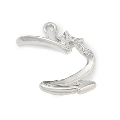 Платина Подвески из сплава , без свинца, без кадмии и без никеля, стойки покрытие, платина, 23.5x19x6.5 мм, отверстие : 1.6 мм