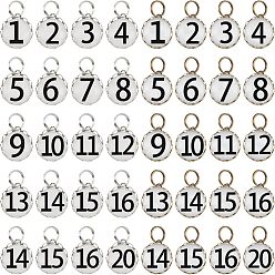 (52) Непрозрачная лаванда 2набор стеклянных подвесок, с задней частью из цинкового сплава и железными кольцами, половина раунда с номером 1~20, разноцветные, 14.5x13.5x4.5~5 мм, отверстие : 5.5 мм, 2 стиль, 1 цвета / стиль