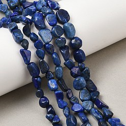 Ляпис-Лазурь Нитки бусины из натурального ляписа-лазури, чип, 6~9x6~8x3.5~6 мм, отверстие : 0.8~1 мм, 14.76''~15.94'' (37.5~40.5 см)