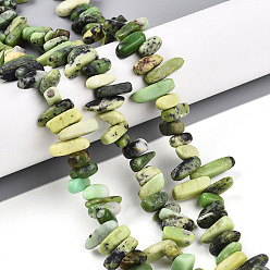 Змеевик Природные серпантину нитей бисера, самородки, 2.5~7x8~19.5x5~7 мм, отверстие : 0.8 мм, около 71~77 шт / нитка, 15.35~15.75'' (39~40 см)