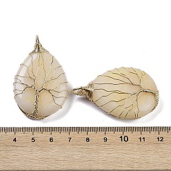 White Jade Natural White Jade Dyed Big Pendants, Teardrop Charms with Copper Wire Wrapped Tree, Golden, Lemon Chiffon, 49~51.5x31x10~11mm, Hole: 6x5.5mm