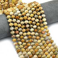 Ископаемый коралл Природные окаменелые коралловые бусы пряди, граненые, рондель, с бисером, 8.5~10x5.5~6.5 мм, отверстие : 1 мм, около 43~45 шт / нитка, 15.35'' (39 см)