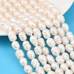 Папайя Оранжевый Нити из натурального культивированного пресноводного жемчуга, рис, класс А, papayawhip, 9~10 мм, отверстие : 0.6 мм, около 27~33 шт / нитка, 13.58~14.37'' (34.5~36.5 см)