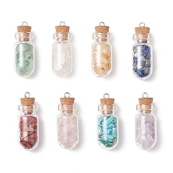 Смешанные камни 8 шт. 8 стили синтетическая бирюза и натуральный зеленый авантюрин и цитрин и розовый кварц и лазурит и кварцевый кристалл и аметист и красная яшма стеклянные бутылки подвески, с железными петлями, платина, 34x13 мм, отверстие : 1.8 мм, 1 шт / стиль