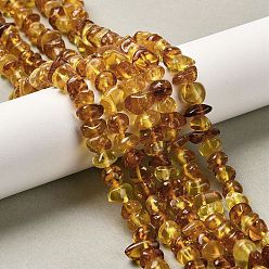 Янтарный Янтарные шарики нити, самородки, упавший камень, 6~8x6~10x4~7 мм, отверстие : 0.6 мм, около 79~81 шт / нитка, 15.16~15.28 дюйм (38.5~38.8 см)