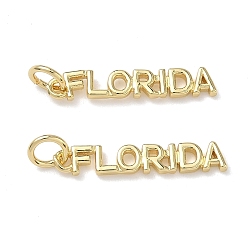 Настоящее золото 18K Латунные подвески, словесные чары, долговечный, стойки покрытие, без свинца и без кадмия, с целью перехода в кольце, реальный 18 k позолоченный, 3.5x21x1.5 мм, отверстие : 3 мм