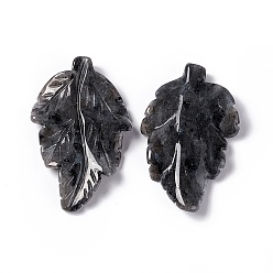 Larvikite Подвески из натурального ларвикита, лист прелести, 41.5x25~26x5 мм, отверстие : 0.8 мм
