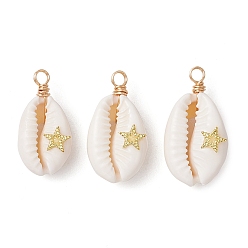 Звезда Подвески из натуральной ракушки каури, обмотанной медной проволокой, с латунными пластинами, золотые, звезда, 24~28x12~15.5x7~8.5 мм, отверстие : 2.6 мм