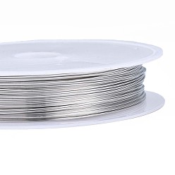Silver Round Copper Jewelry Wire, Silver Color Plated, 24 Gauge, 0.5mm, about 26.24 Feet(8m)/roll, 10 rolls/group