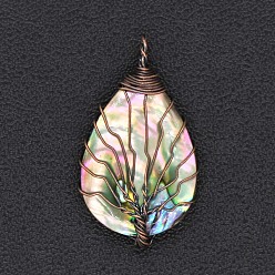 Red Copper Natural Paua Shell Pendants, Teardrop with Tree of Life, Red Copper, 38x22mm