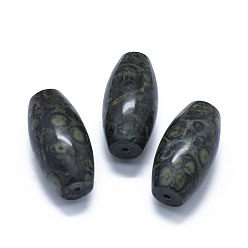 Kambaba-Jaspis Natur Kambaba Jaspis Perlen mit zwei halbgebohrten Löchern, ellipsenförmige, 49.5~50x25 mm, Bohrung: 2 mm