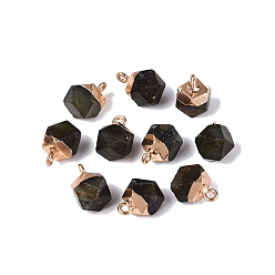 Labradorite Natural Labradorite Pendants, Polygon Charms, with Golden Tone Brass Loops, 11.5~14x7~9.5x7~9.5mm, Hole: 1.6~1.8mm