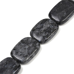 Larvikite Натуральные нити бус из ларвикита, прямоугольные, 23~24.5x17.5~18.5x6~9 мм, отверстие : 1~1.2 мм, около 17 шт / нитка, 15.59'' (39.6 см)