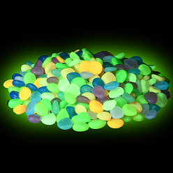 (52) Непрозрачная лаванда 200g светящиеся акриловые бусины, нет отверстий / незавершенного, разноцветные, 11.5~16x12.5~13x6.5~7 мм