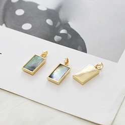 Раковина Природные пауа оболочки подвески, прямоугольник амулеты, со сплавочной фурнитурой золотого цвета, 22x9 мм