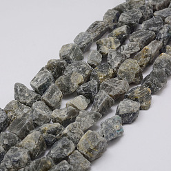 Labradorite Raw Rough Natural Labradorite Beads Strands, Nuggets, 15~20x14~18x10~14mm, Hole: 1mm, about 25pcs/strand, 14.9 inch(38cm)