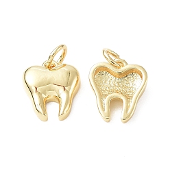 Настоящее золото 18K Экологически чистые подвески из латуни с гальванопокрытием, долговечный, с прыжковых колец, без свинца и без кадмия, зубной амулет, реальный 18 k позолоченный, 11x9.5x3 мм, отверстие : 3.4 мм