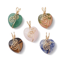 Смешанные камни Драгоценный камень подвески, с медной проволокой, сердце, 22x15x9.5 мм, отверстие : 3.5 мм
