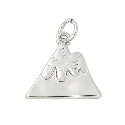 Платина Латунные подвески, горные чары, стойки покрытие, долговечный, без кадмия и без свинца, с целью перехода в кольце, платина, 14x15x2 мм, отверстие : 3.4 мм