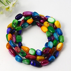Colorful Stretch Erose Freshwater Shell Bracelets, with Elastic, Colorful, 700mm