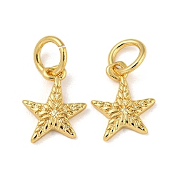 Настоящее золото 18K Стойки обшивки латунные подвески, с целью перехода в кольце, без кадмия и без свинца, долговечный, звезда, реальный 18 k позолоченный, 10x8x1 мм, отверстие : 3.4 мм