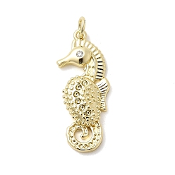 Настоящее золото 18K Латунные микро проложить кубического циркония подвески, прелести морских коньков, долговечный, стойки покрытие, без свинца и без кадмия, с целью перехода в кольце, реальный 18 k позолоченный, реальный 18 k позолоченный, 29.5x12.5x4 мм, отверстие : 3 мм