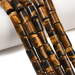 Тигровый глаз Природных тигровый глаз бисер нитей, колонка, класса AB +, 12x8 мм, отверстие : 1.2 мм, около 31 шт / нитка, 15.16'' (38.5 см)