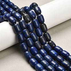 Ляпис-Лазурь Нитки бусины из натурального ляписа-лазури, окрашенные, колонка, 14~15x10~11 мм, отверстие : 1.2 мм, около 27 шт / нитка, 15.75'' (40 см)