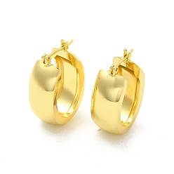 Light Gold Brass Oval Thick Hoop Earrings for Women, Light Gold, 26x18x9mm, Pin: 0.7mm
