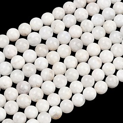 Rainbow Moonstone Круглые бусины из натурального радужного лунного камня, 8 мм, отверстие : 1 мм, около 42 шт / нитка, 15.5 дюйм