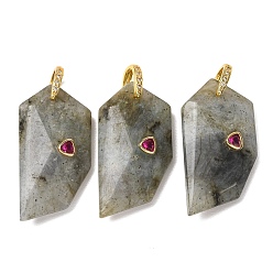 Labradorite Natural Labradorite Pendants, Others, Golden, 40~40.5x20.5~21x9.5~10mm, Hole: 6x6.5mm