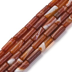 Red Agate Натуральный красный агат бисер нитей, окрашенная и подогревом, колонка, 16x6 мм, отверстие : 1.6 мм, около 25 шт / нитка, 15.35'' (39 см)