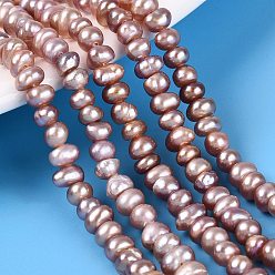 Plum Natural Cultured Freshwater Pearl Beads Strand, Flat Round, Plum, 3~6.5x3~6.5x2~5mm, Hole: 0.6mm, about 98~108pcs/strand, 13.78~14.17 inch(35~36cm)