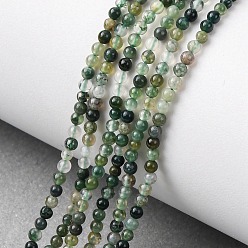 Мосс Агат Природные моховой агат бисер нитей, круглые, 2~2.5 мм, отверстие : 0.5 мм, около 89~91 шт / нитка, 8.07'' (20.5 см)