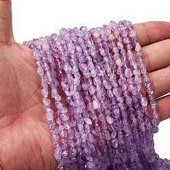 Аметист Нити бусин из натурального лавандового аметиста, самородки, 5~9x4~6x3~4.5 мм, отверстие : 0.7 мм, около 75~89 шт / нитка, 15.35'' (39 см) ~ 15.94'' (40.5 см)