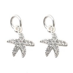 Серебро Латунные микро проложить кубического циркония подвески, стойки покрытие, долговечный, без свинца и без кадмия, очарование морской звезды, серебряные, 12.5x10.5x2 мм, отверстие : 4.5 мм